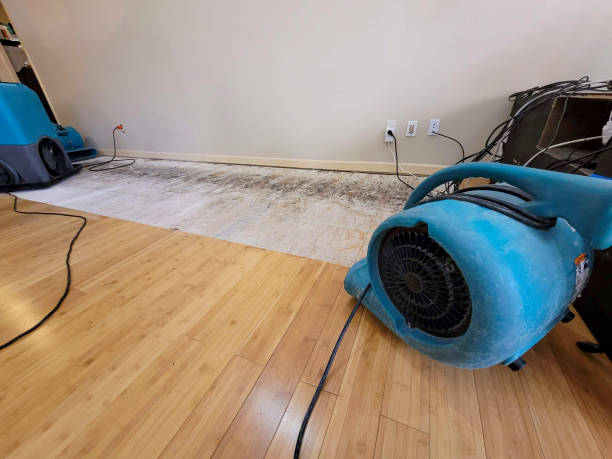 Professional Burst Pipe Water Damage technician working in Two Rivers, WI